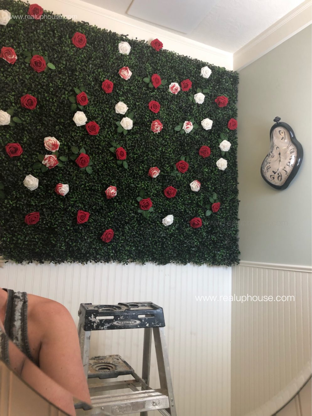 Roses wall display