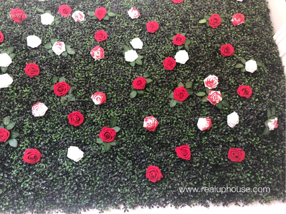 Roses wall